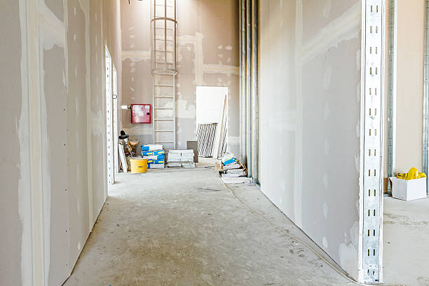 Best Drywall Removal and Disposal  in North Lima, OH